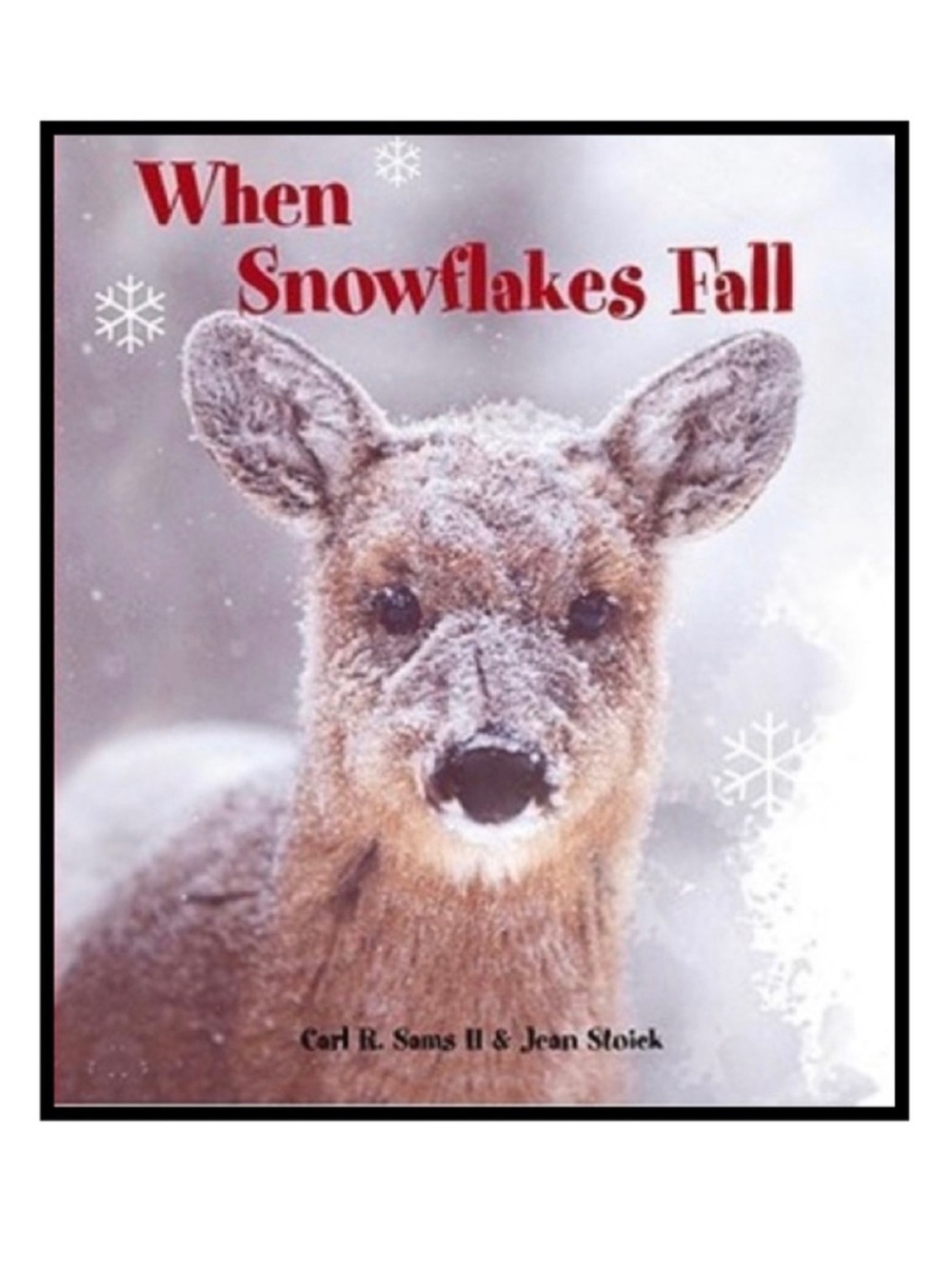 BUNDLE & SAVE ❄️When Snowflakes Fall Board Book
